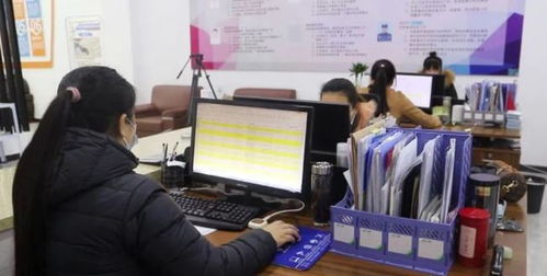 数字赋能，暖心服务 信息技术为涞水民生梦想插上翅膀